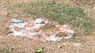 Manyam district: మీలాంటి వాళ్లే సార్ ఈ సమాజానికి కావాల్సింది.. ఒక మెట్టు ఎక్కేశారు కలెక్టర్ గారూ.. !