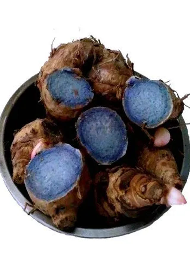 నల్ల పసుపు గురించి తెలుసా? దీనిని తింటే కలిగే లాభాలు ఇవే!