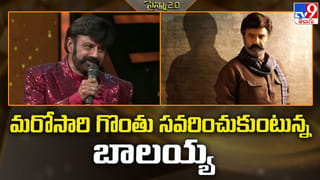 కుర్ర హీరోలకు పోటీ ఇస్తున్న సీనియర్స్