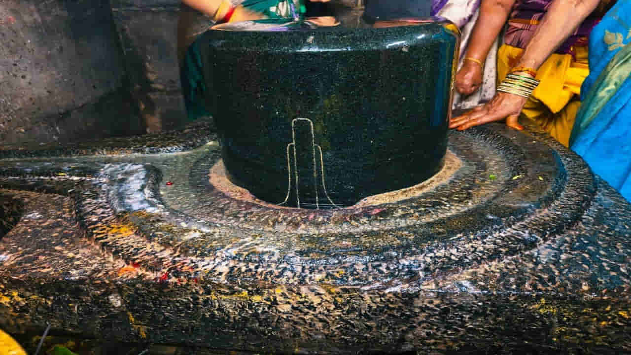 పుష్పగిరిలోని వెలసిన అరుదైన బ్రహ్మసూత్ర శివలింగాలు...ఒక్కసారి చూసిన చాలు.. ఆ ఫలితం వెయ్యి..