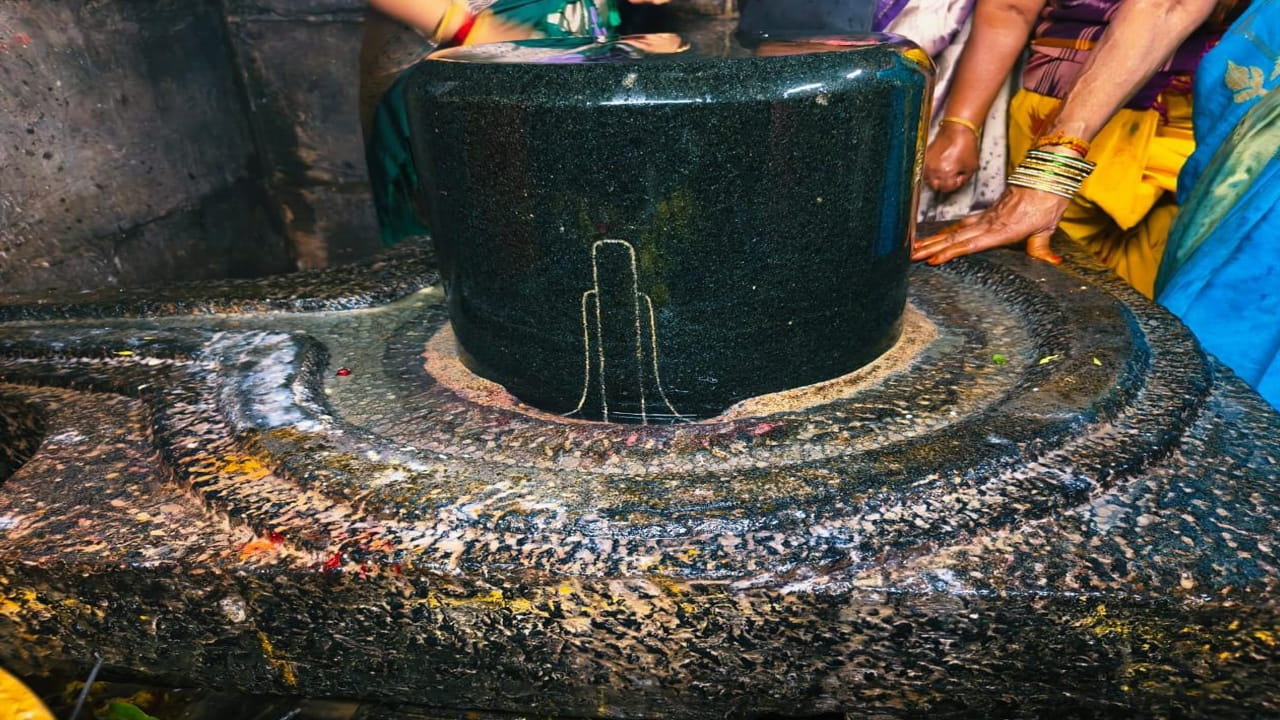 పుష్పగిరిలోని వెలసిన అరుదైన బ్రహ్మసూత్ర శివలింగాలు...ఒక్కసారి చూసిన చాలు.. ఆ ఫలితం వెయ్యి..