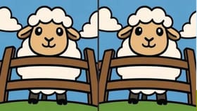 గొర్రెల మధ్య ఉన్న 3 తేడాలను 50 సెకన్లలో గుర్తిస్తే.. మీరే తోపులు