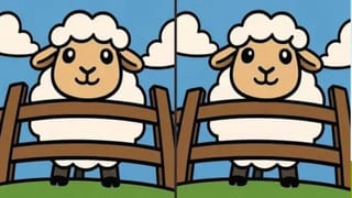 Viral Video: చలికి ‘Z+ సెక్యూరిటీ’.. ఈ డ్రైవర్ సాబ్ తెలివికి ఫిదా అవ్వాల్సిందే..!