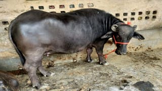 Exams: ఇకపై ఇంటి నుంచి పరీక్షలు రాయడం కుదరదు.. ఎందుకో తెలిస్తే షాక్ అవ్వాల్సిందే..!