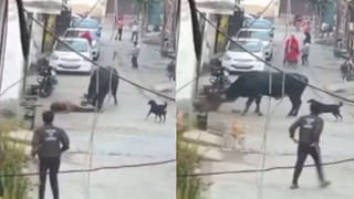 Viral Video: ఖరీదైన కారు చోరీ.. విధి ఒప్పుకోలేదు బాస్‌…! పోలీసులకు ఎలా దొరికిపోయాడో చూడండి…