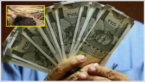 Business Idea: కేవలం రూ.50,000తో ఈ వ్యాపారాన్ని ప్రారంభించండి.. ఏడాదికి రూ.10 లక్షల వరకు సంపాదించండి!