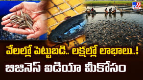 వేలల్లో పెట్టుబడి.. లక్షల్లో లాభాలు..! బిజినెస్ ఐడియా మీకోసం