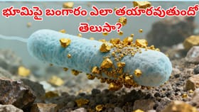 అసలు భూమిపై బంగారం ఎలా తయారవుతుందో మీకు తెలుసా?