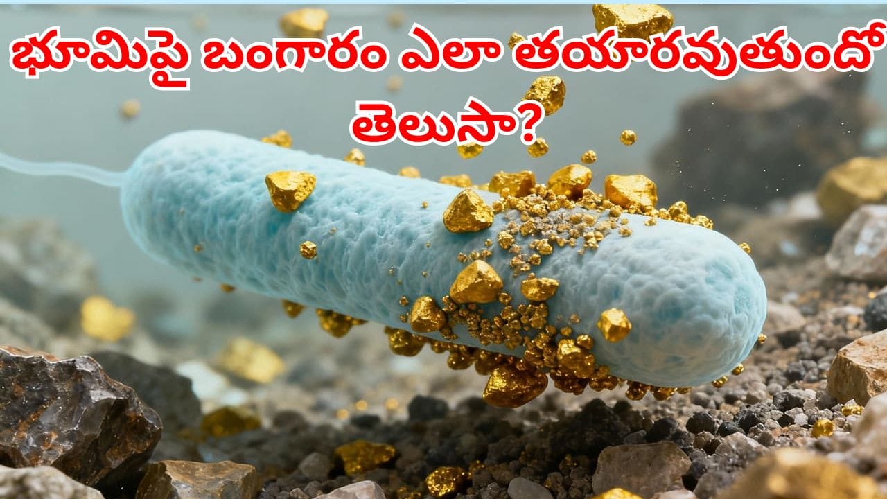 అసలు భూమిపై బంగారం ఎలా తయారవుతుంది.. పసిడి పుట్టుక రహస్యం గురించి మీకు తెలుసా?