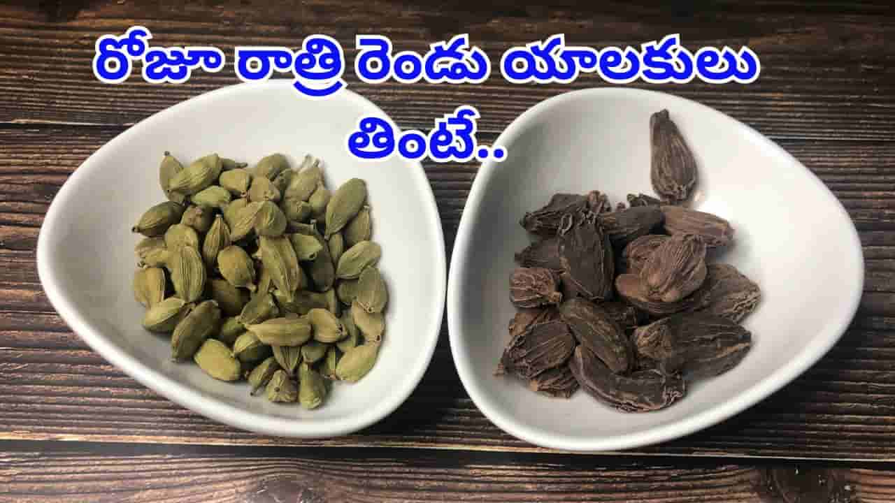 Cardamom: రోజూ రాత్రి పడుకునే ముందు 2 యాలకులు తింటే.. మీ శరీరానికి సూపర్ పవర్స్..!