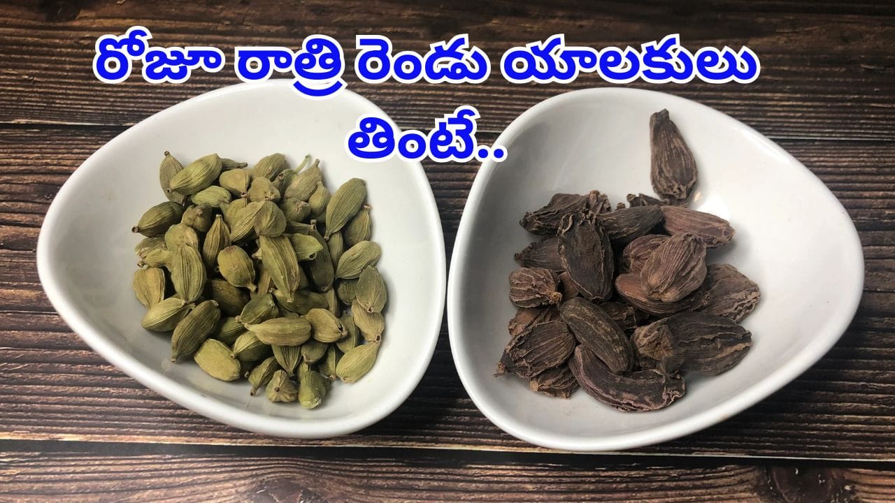 Cardamom: రోజూ రాత్రి పడుకునే ముందు 2 యాలకులు తింటే.. మీ శరీరానికి సూపర్ పవర్స్..!