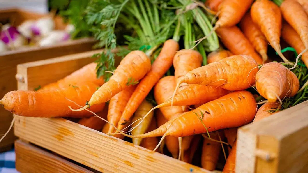 ఇటీవలి అధ్యయనం ప్రకారం వారానికి 2 నుంచి 4 పచ్చి క్యారెట్లు తినడం వల్ల కొలొరెక్టల్ క్యాన్సర్ వచ్చే ప్రమాదం దాదాపు 17 శాతం తగ్గుతుంది.