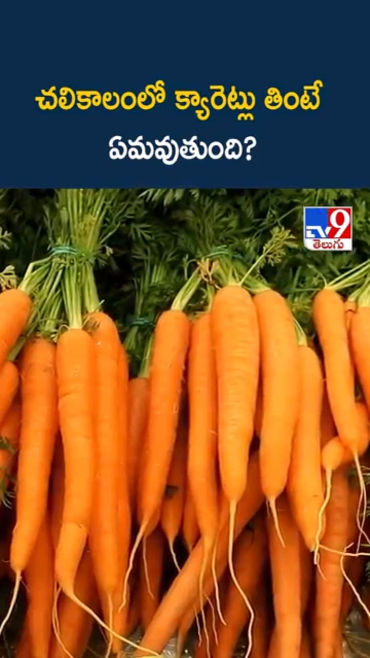 Carrots: శీతాకాలంలో క్యారెట్ తింటున్నారా? అయితే మస్ట్‌గా తెలుసుకోండి