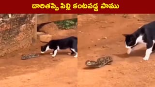 Viral Video: అదేంది బ్రో.. వాళ్లు అసలు విద్యార్థులేనా? నడిరోడ్డు మీద మహిళను ఎలా కొట్టారో చూడండి