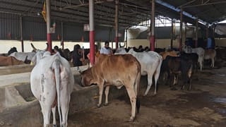 Andhra: వేదికపై రోడ్డు కోసం విన్నపం… సభ ముగిసేలోగా మంజూరు