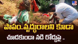 ఈ గుడ్డు ధర రూ. 236 కోట్లు.. అంతలా ఏముందిరా  దీనిలో..