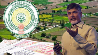 CM Chandrababu: ఏపీ ప్రజలకు అదిరిపోయే శుభవార్త..  కరెంట్ ఛార్జీలపై కీలక ప్రకటన చేసిన సీఎం చంద్రబాబు