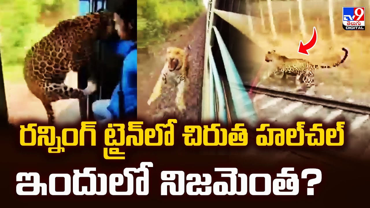రన్నింగ్‌ ట్రైన్‌లో చిరుత హల్‌చల్.. ఇందులో నిజమెంత ??