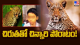 11 ఏళ్ల చిన్నారి చిరుతతో పోరాటం.. అదే అతనికి రక్షణ కవచమైంది