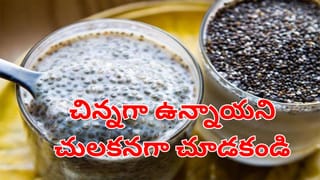 మటన్ లివర్ vs చికెన్ లివర్.. ఇందులో ఏది మంచిది..? ఎవరు తినకూడదు..