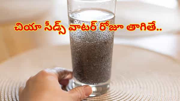 ఉదయాన్నే టీ, కాఫీలు వద్దు..చియాసీడ్ వాటర్తో మీ రోజును ప్రారంభించండి..ఈ సమస్యలన్నీ దూరం!