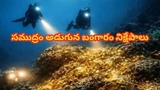 Watch: ఏం ధైర్యంరా సామి.. కొంచెం అటు.. ఇటు అయితే అంతే సంగతులు.. ఒళ్లుగగుర్పాటుకు గురి చేస్తోన్న వీడియో