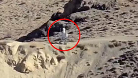 భారత్ సరిహద్దుల్లో చైనా స్మార్ట్ ప్లాన్.. రోబోలతో..