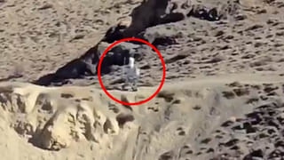 పుతిన్ భారతీయ ఆహారాన్ని ఎందుకు తినరు.. మరి విలాసవంతమైన విందు వండేదెవరు..?