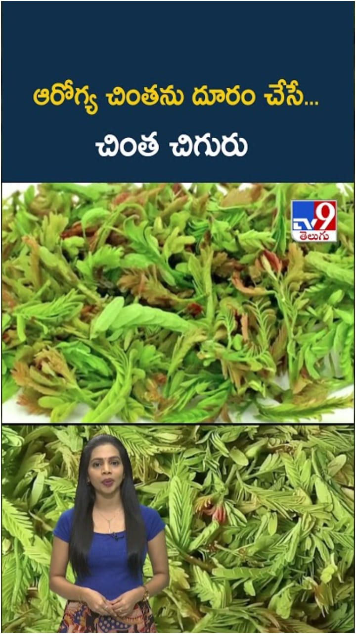 Chinta Chiguru: వారెవ్వా.. చింత చిగురు తింటే ఇన్ని లాభాలా..!