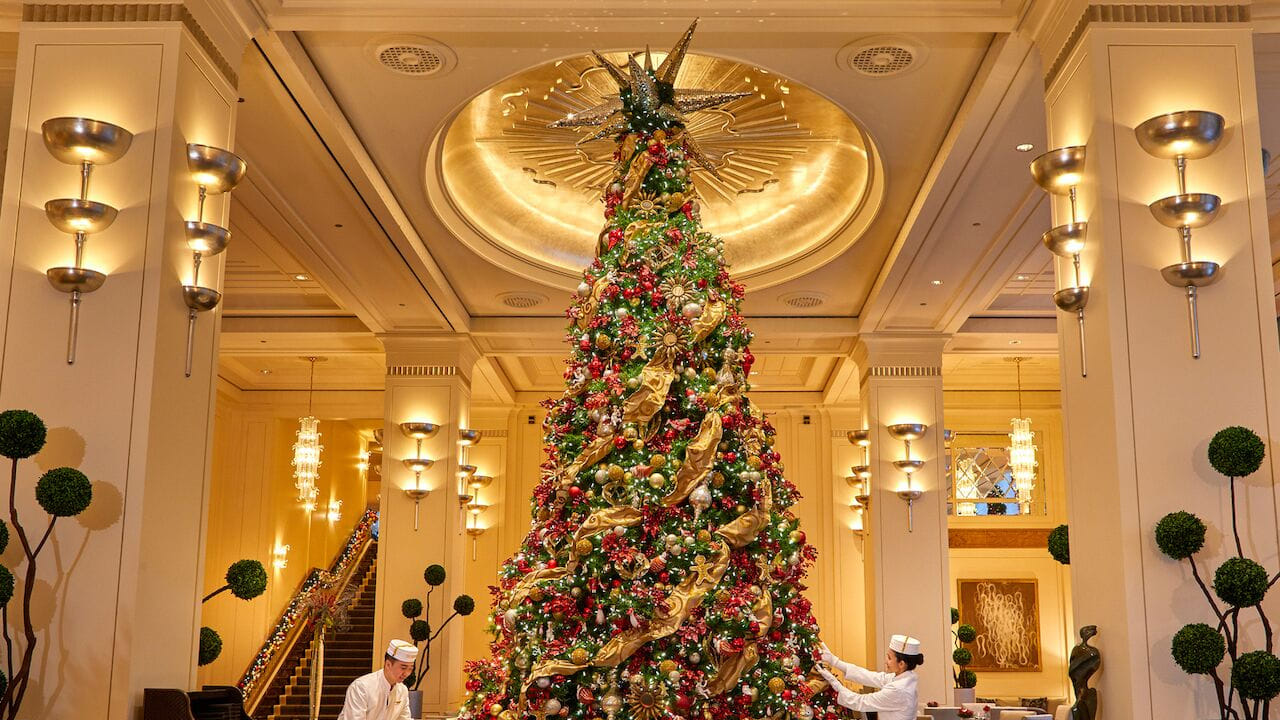 నేడు, క్రిస్మస్ చెట్లు అనేక రూపాల్లో వస్తాయి, తాజాగా కత్తిరించినవి, కుండలలో నాటబడినవి లేదా కృత్రిమమైనవి. వీటిని ఇంటి లోపల, ఆరుబయట ఉపయోగిస్తారు. సాంప్రదాయకంగా, చెట్లు ఫిర్, స్ప్రూస్ లేదా పైన్ వంటి సతత హరిత కోనిఫర్లు. 1950లు, 1960లలో, ప్లాస్టిక్ చెట్లు ప్రజాదరణ పొందాయి. ముఖ్యంగా నిజమైన చెట్లు సులభంగా అందుబాటులో లేని ప్రాంతాలలో.