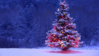 SKIN CARE: గ్లోయింగ్, ఫ్లాలెస్ స్కిన్ కేర్ సీక్రెట్స్ రివీల్ చేసిన హాలీవుడ్ స్టార్ సింగర్!