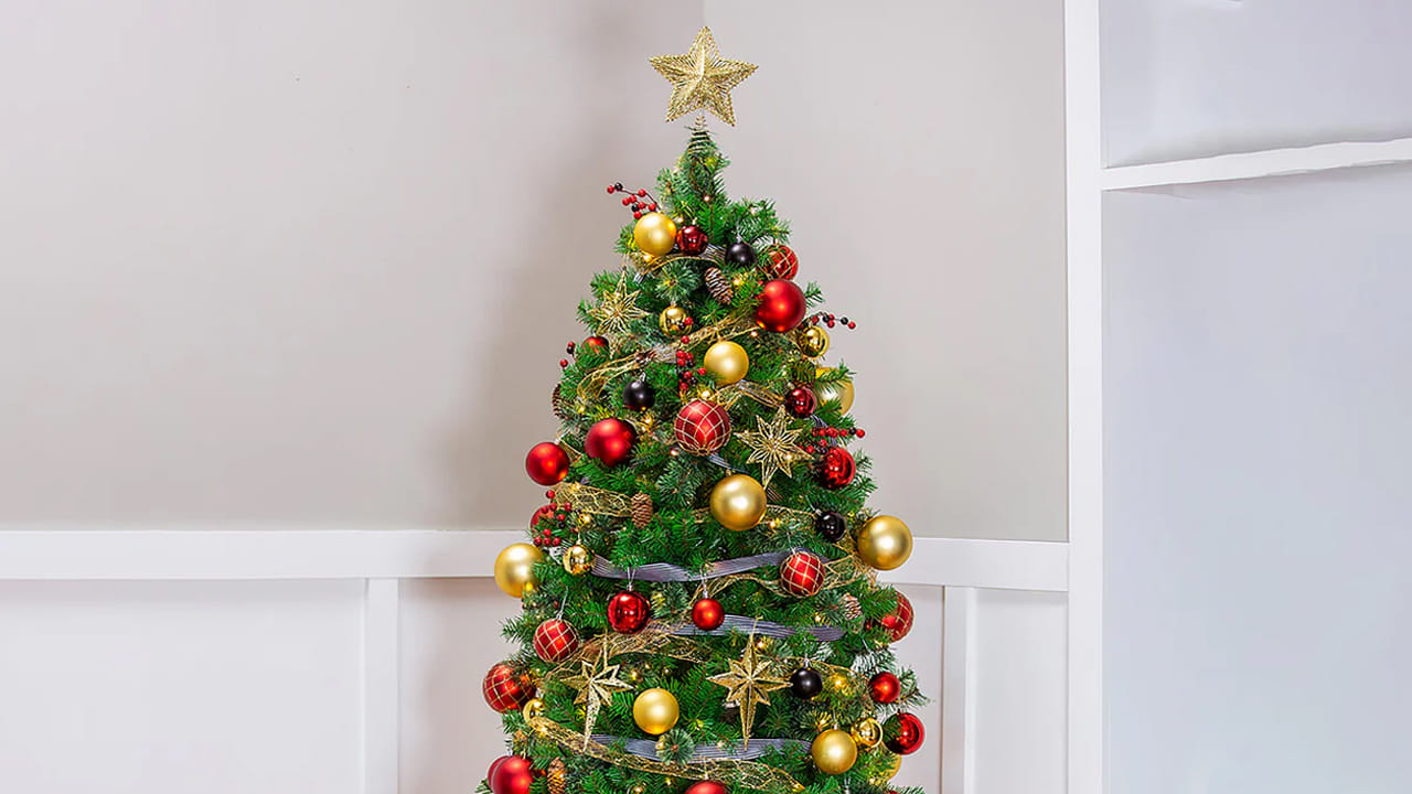 క్రిస్మస్ చెట్టు వేర్లు క్రిస్మస్ తో సంబంధం కలిగి ఉండటానికి చాలా కాలం ముందే ఉన్నాయి. ఈజిప్షియన్లు, చైనీయులు, హీబ్రూలు వంటి ప్రాచీన నాగరికతలు శాశ్వత జీవితానికి చిహ్నాలుగా సతత హరిత చెట్లు, దండలు ఉపయోగించాయి. అన్యమత యూరోపియన్లలో, వృక్ష పూజ సర్వసాధారణం, ముఖ్యంగా కఠినమైన శీతాకాల నెలల్లో దుష్టశక్తులను పారద్రోలడానికి, ఇళ్లను రక్షించడానికి సతత హరిత కొమ్మలను ఉపయోగించారు.