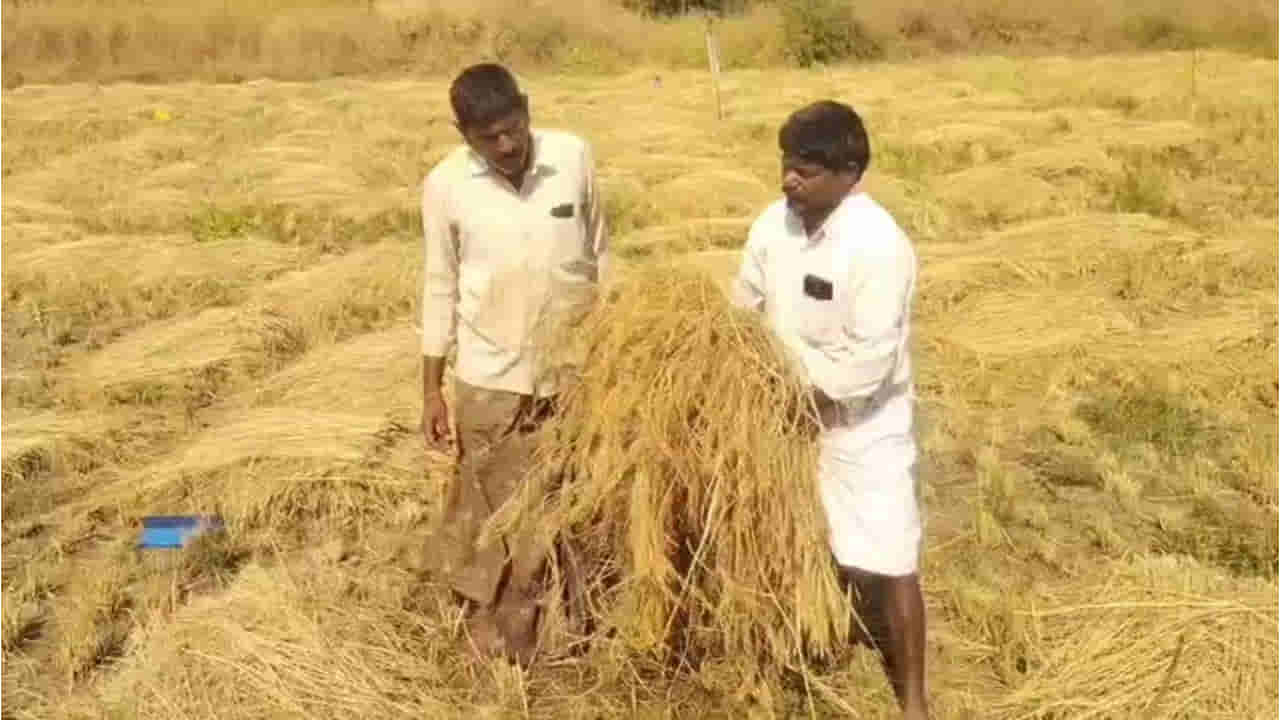 Andhra: పెట్టుబడి కేవలం రూ.4 వేలు.. ఖర్చులన్నీ పోను 35 వేల నికర ఆదాయం