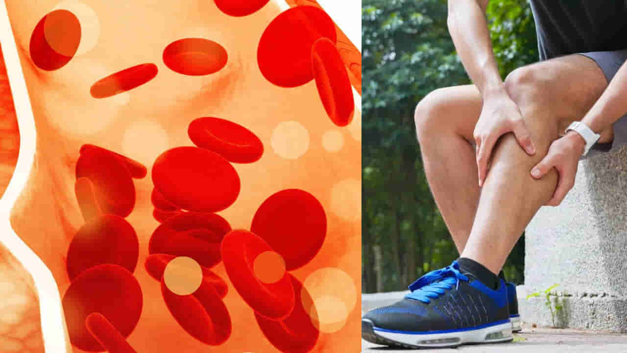 జాగ్రత్త మావ.. శీతాకాలంలో సైలెంట్ కిల్లర్ ముప్పు.. కొలెస్ట్రాల్ పెరిగితే కనిపించే లక్షణాలు ఇవే..