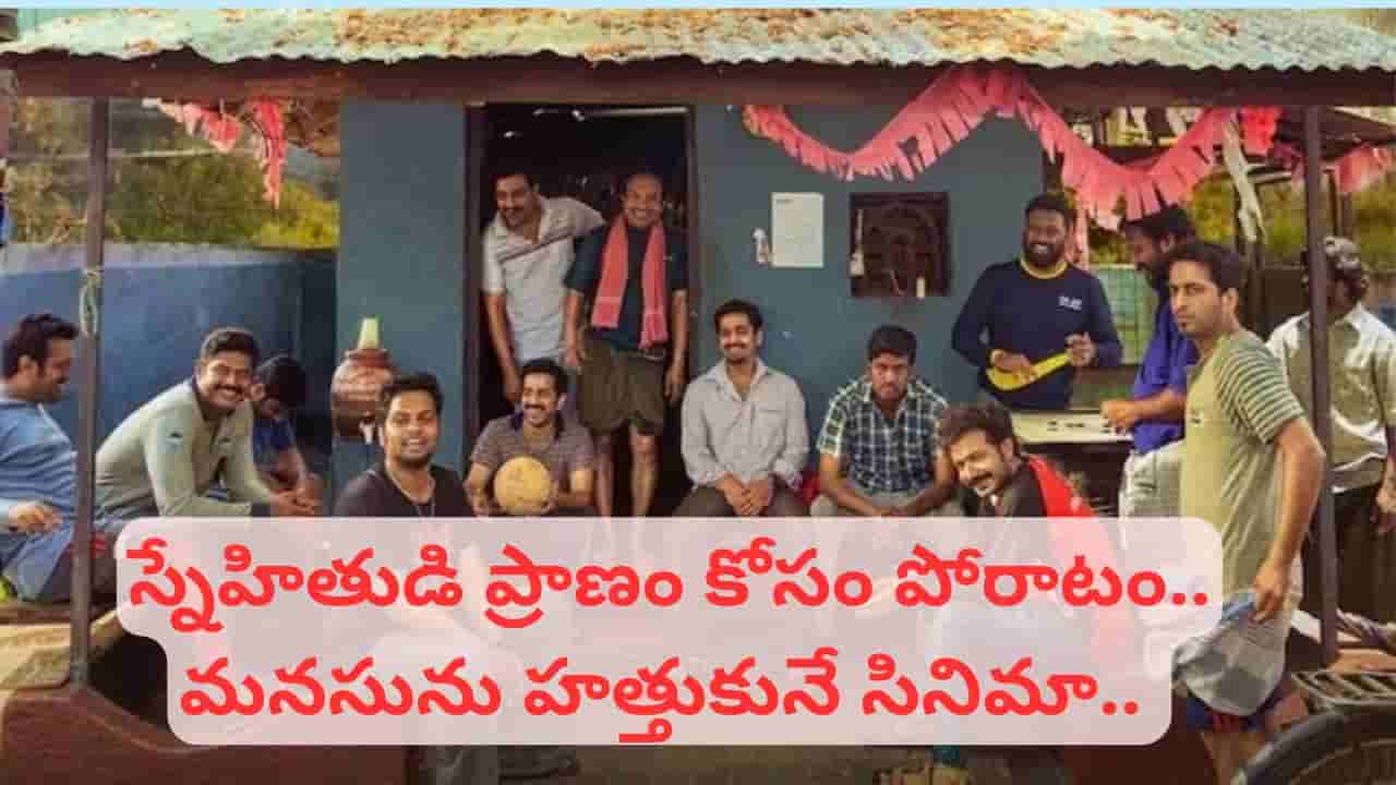 Cinema : బ్లాక్ బస్టర్ అంటే ఇది.. రూ.20 కోట్ల బడ్జెట్.. రూ.250 కోట్ల కలెక్షన్స్.. బాక్సాఫీస్ రికార్డ్ తిరిగరాసిన సినిమా..