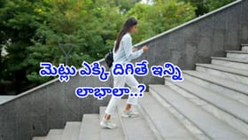 మెట్లు ఎక్కి దిగితే ఇన్ని లాభాలా..? ఇది తెలిస్తే లిఫ్ట్‌ వాడరు