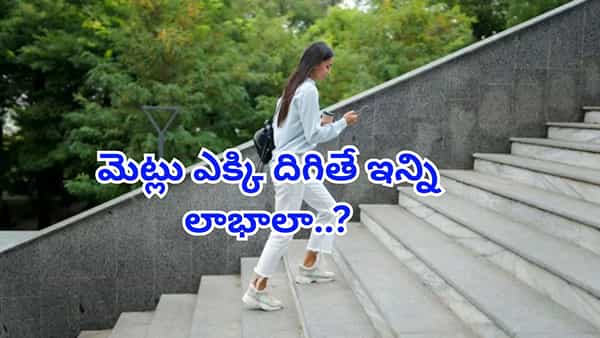 Climbing Stairs Benefits: మెట్లు ఎక్కి దిగితే ఇన్ని లాభాలా..? ఇది తెలిస్తే లిఫ్ట్ అస్సలు వాడరు..