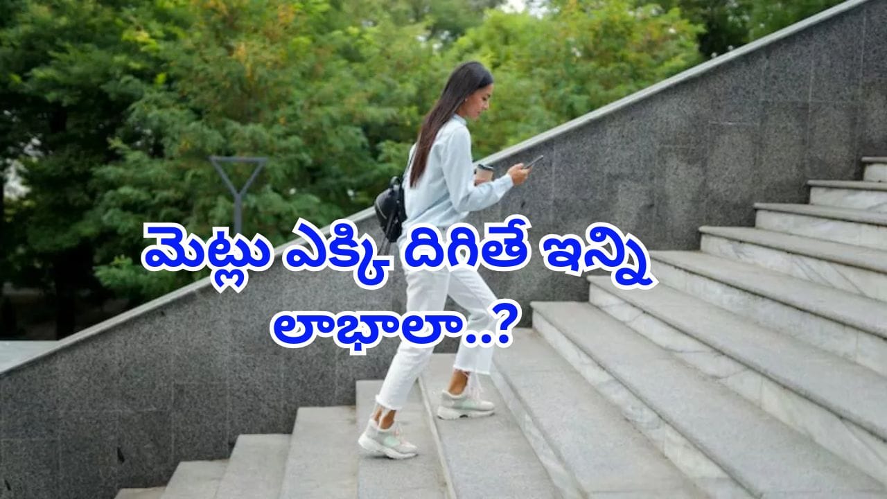 Climbing Stairs Benefits: మెట్లు ఎక్కి దిగితే ఇన్ని లాభాలా..? ఇది తెలిస్తే లిఫ్ట్ అస్సలు వాడరు..