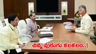ఏపీలో భయపెడుతున్న కొత్త ర‌కం వ్యాధి.. అప్రమత్తమైన సర్కార్.. అధికారులతో సీఎం సమీక్ష