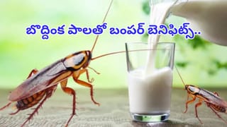 బాబోయ్‌ మనం తింటున్న నెయ్యి కల్తీనా..? ఈ సింపుల్‌ టిప్స్‌తో ఈజీగా గుర్తించండి..