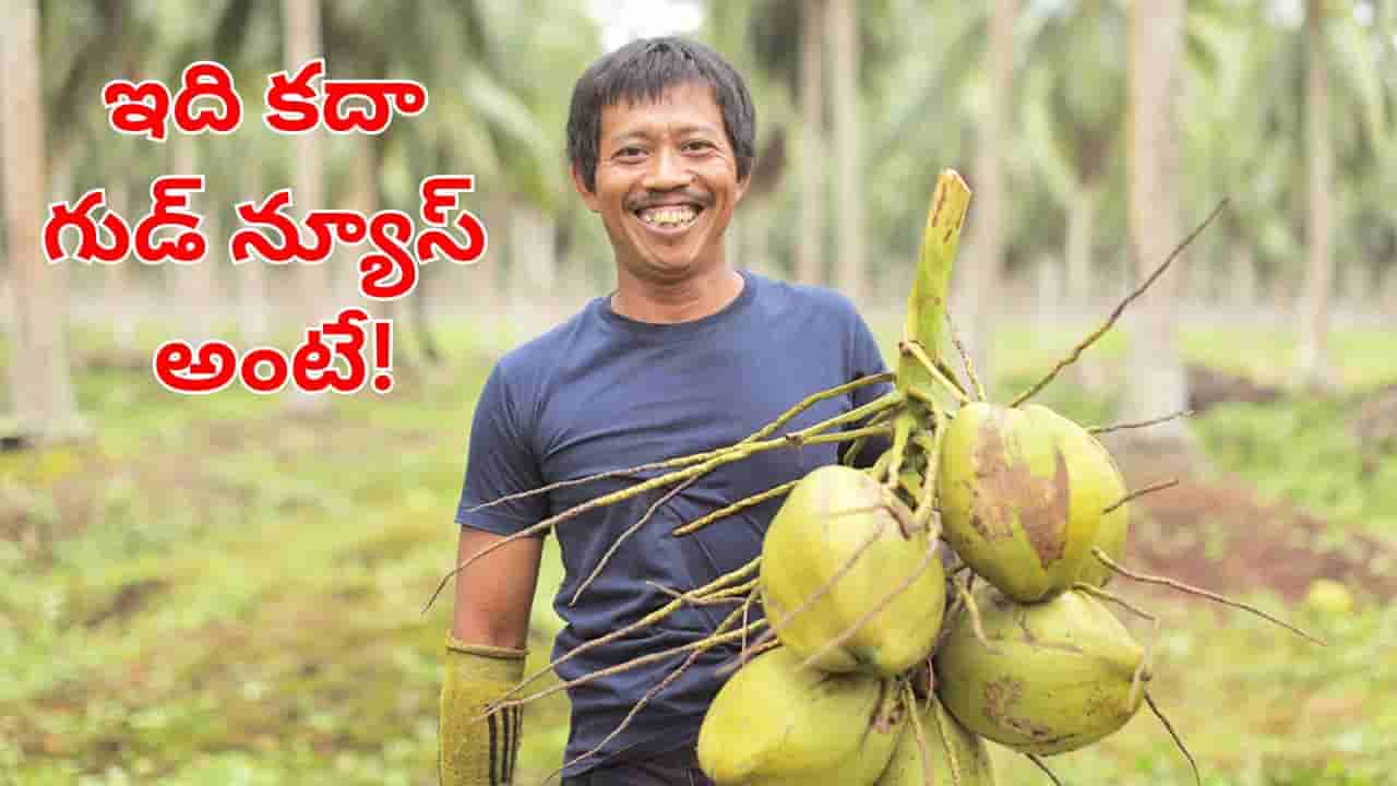 కొబ్బరి రైతులకు గుడ్న్యూస్ .. మద్దతు ధర పెంపునకు కేంద్రం గ్రీన్ సిగ్నల్.. క్వింటాల్పై ఎంతంటే?