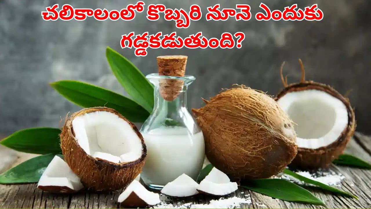 ఏంటి దీని వెనక ఇంత కథుందా.. చలికాలంలో కొబ్బరి నూనె ఎందుకు గడ్డకడుతుందో తెలుసా?