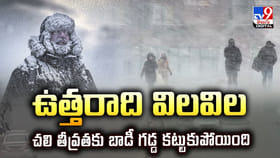 ఉత్తరాది విలవిల.. చలి తీవ్రతకు బాడీ గడ్డ కట్టుకుపోయింది వీడియో