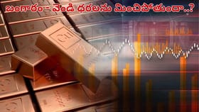 బంగారం - వెండి కాదు.. ఇప్పుడు మార్కెట్‌లో దీనిదే హవా.. ఏడాదిలోనే