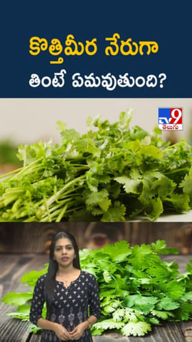 Coriander: కొత్తిమీర ఆకులు పచ్చిగా తింటే ఏమవుతుందో తెలుసా..?