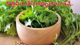 కొత్తిమీర తింటే బరువు తగ్గుతారా.. ఈ విషయాలు తెలిస్తే అస్సలు వదలరు