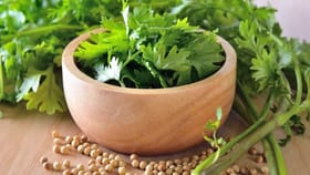 కొత్తమీర త్వరగా వాడిపోతుందా..ఈ సింపుల్‌ టిప్స్‌ పాటిస్తే..