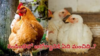 ‌చలికాలంలో పెరుగు తింటున్నారా..? అయితే, ఈ విషయం తప్పక తెలుసుకోండి..