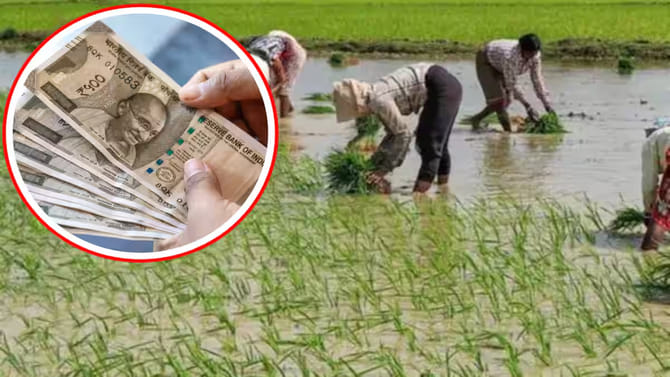 మీరు వరిని పండిస్తున్నారా? వీటిని కూడా పెంచండి.. రెండింతల లాభం!