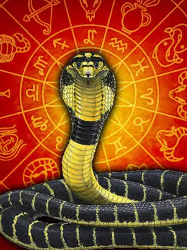 కాల సర్ప దోషం ఉంటే  కలలో పాములు కనిపిస్తాయా?